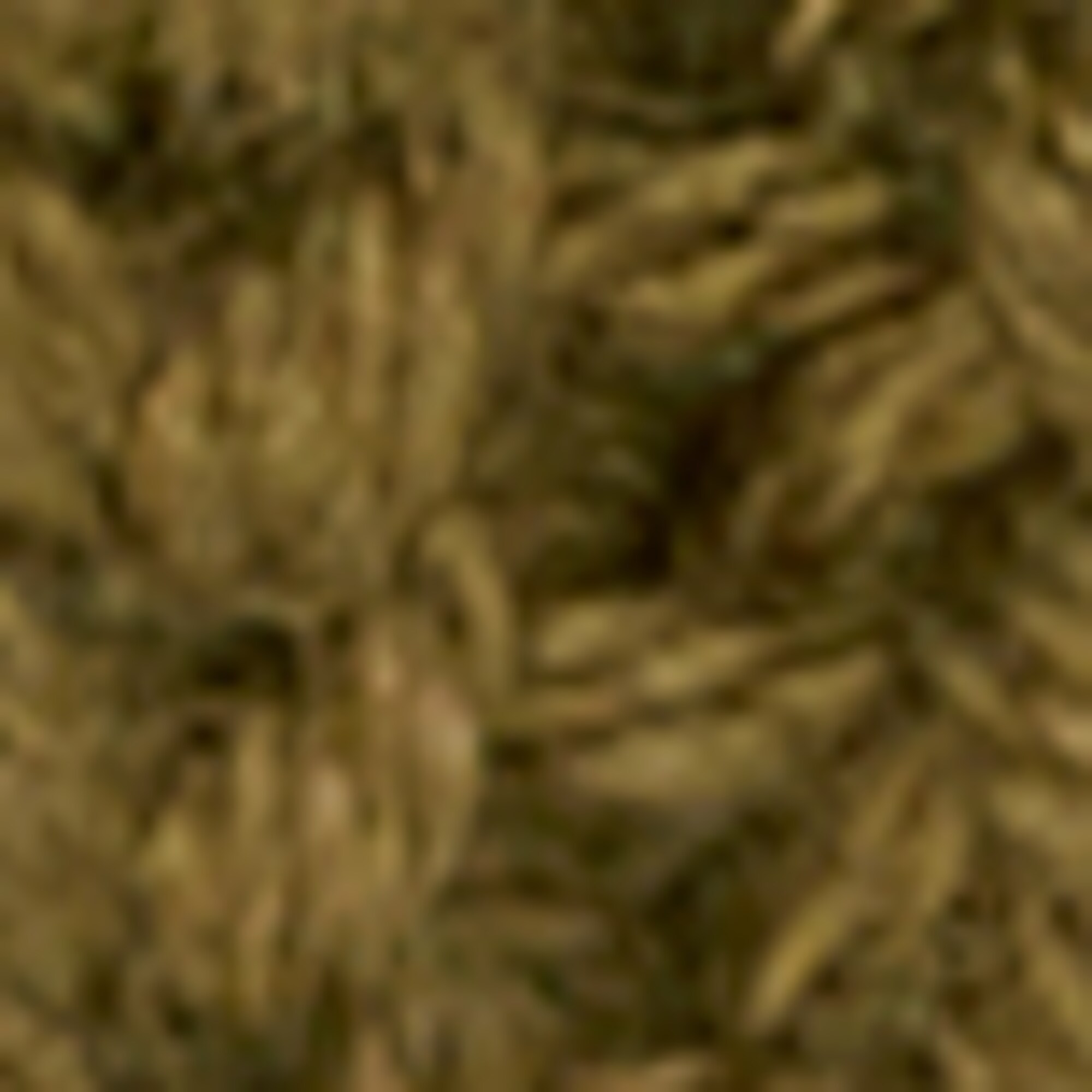 DfC Strickmütze aus Organic Cotton