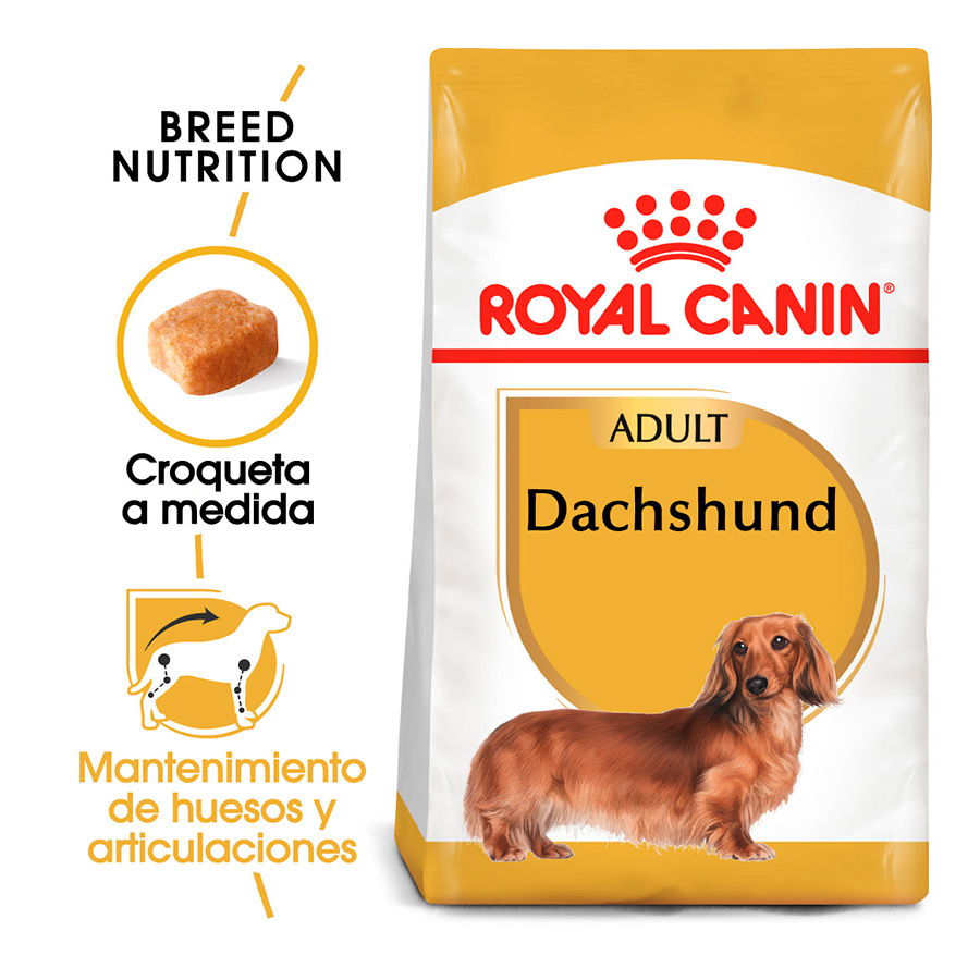 Ração Royal Canin para cães da raça Dachshund adulto