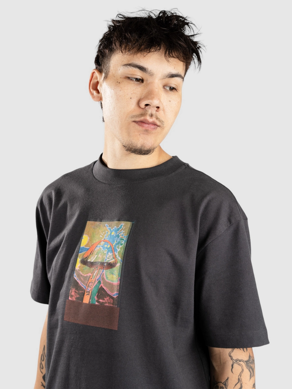 RVCA Sage Shroom T-Shirt washed black