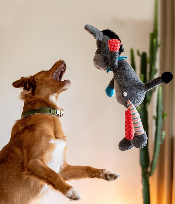 Nobby Hundespielzeug Plüschesel