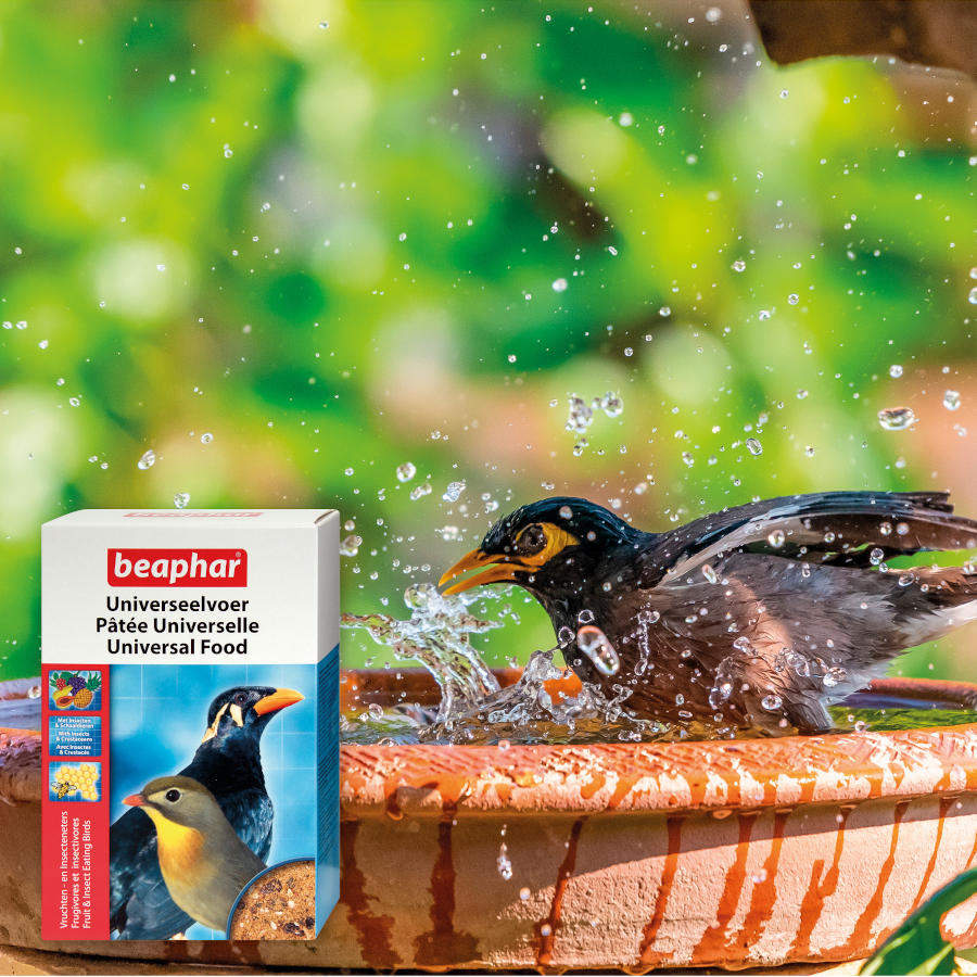 Beaphar Alimento Universal para Aves
