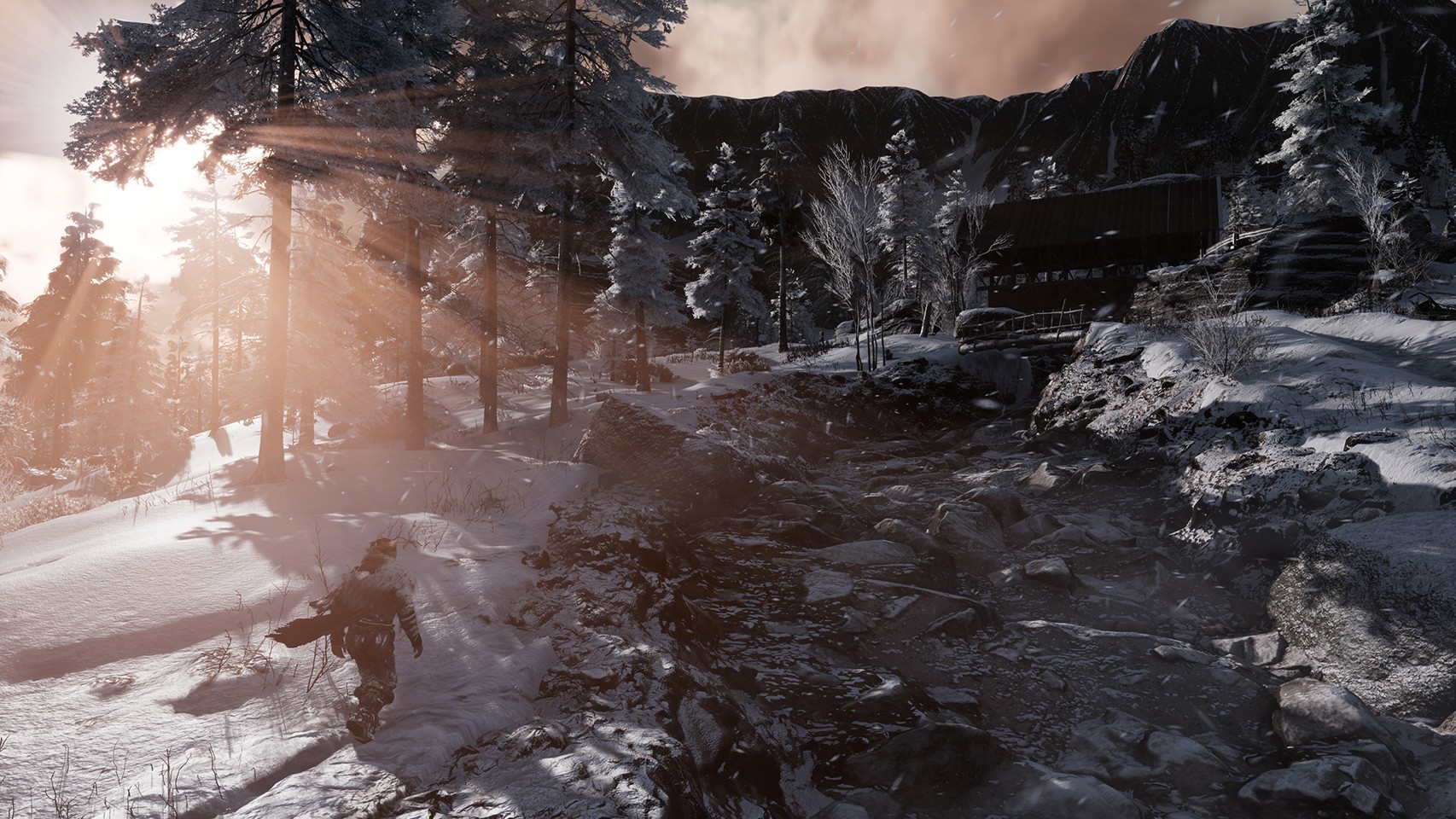 Fade to Silence- PC