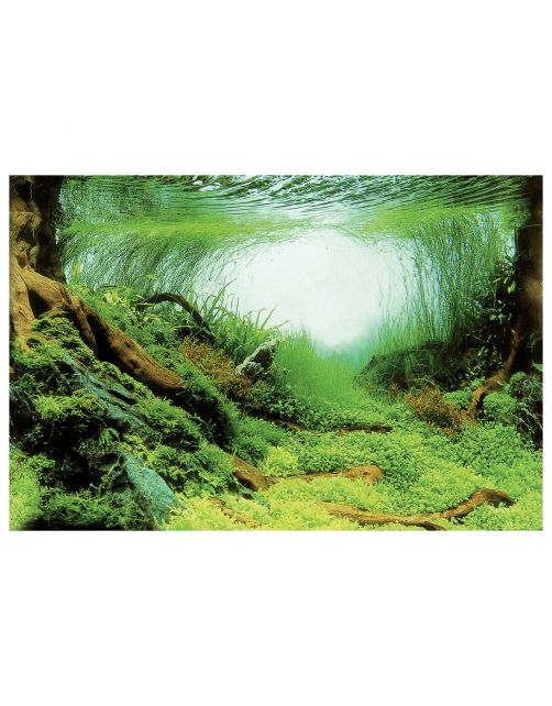 Superfish Deco Poster - Aquarium - Ornament