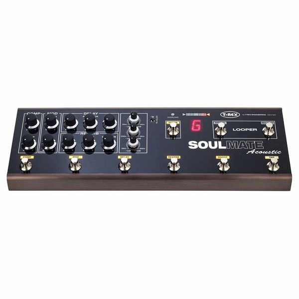 T-Rex Soulmate Acoustic Bundle