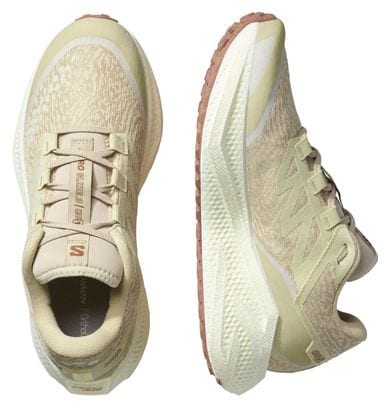 Chaussures Running Salomon Aero Glide 3 GRVL Beige Homme