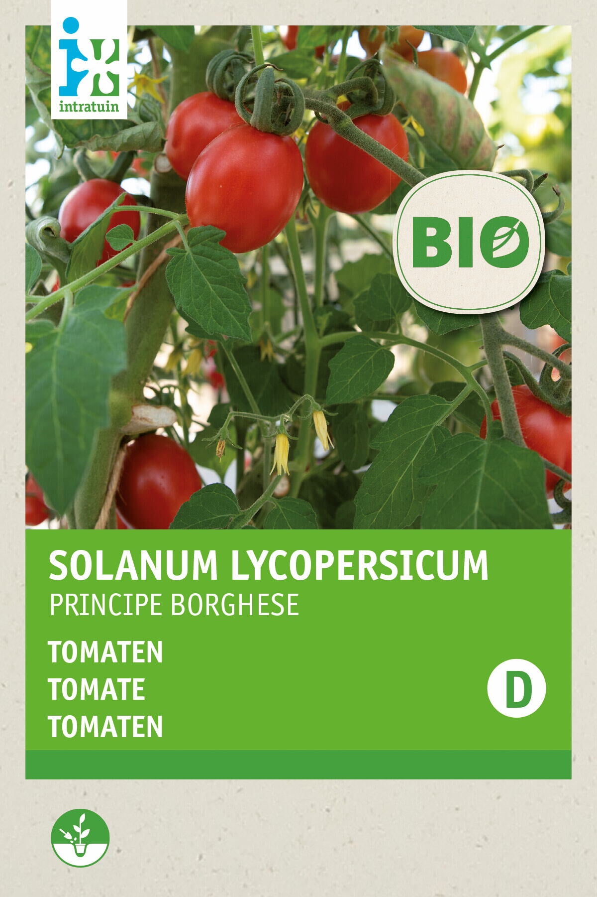 Intratuin groentezaad Stokspekboon (Phaseolus vulgaris 'Neckarkönigin')