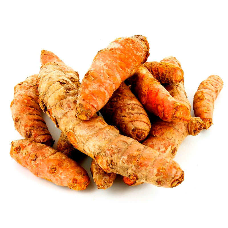 Curcuma frais bio