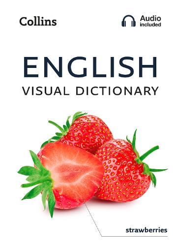 English Visual Dictionary: A Photo Guide to Everyday Words and Phrases in English - Collins Visual Dictionary (Paperback)