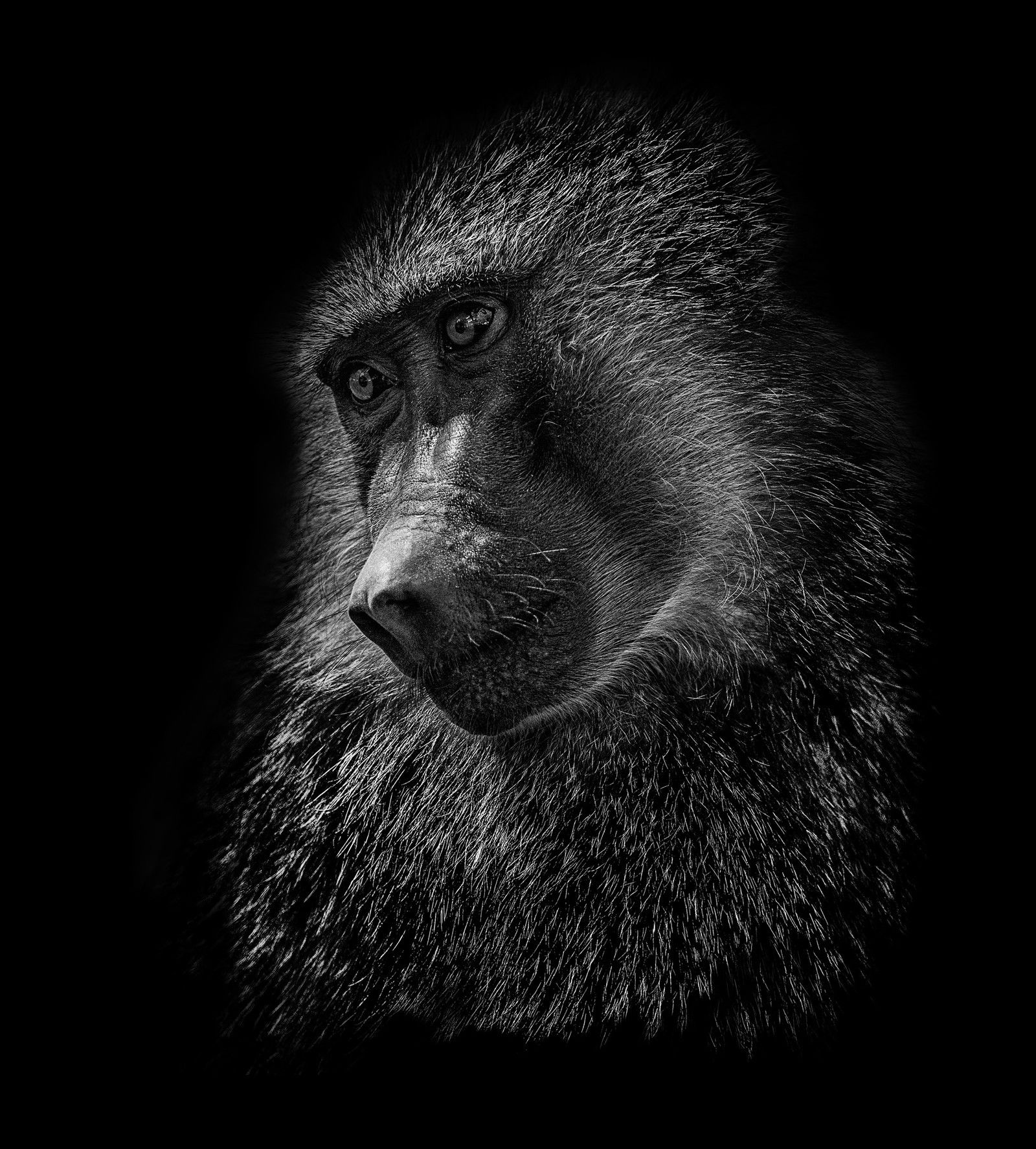 Kairu by Claudio Gotsch - Limited Edition. Edition of: 150. Signed.