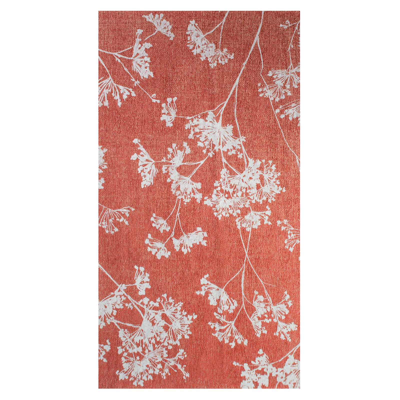 9555-PARSLEY-INFLORESCENCE-240x340cm