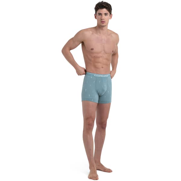 Boxer ICEBREAKER M MERINO ANATOMICA BOXERS PALM TRAIL AOP CLOUD AOP CLOUD RAY/AOP