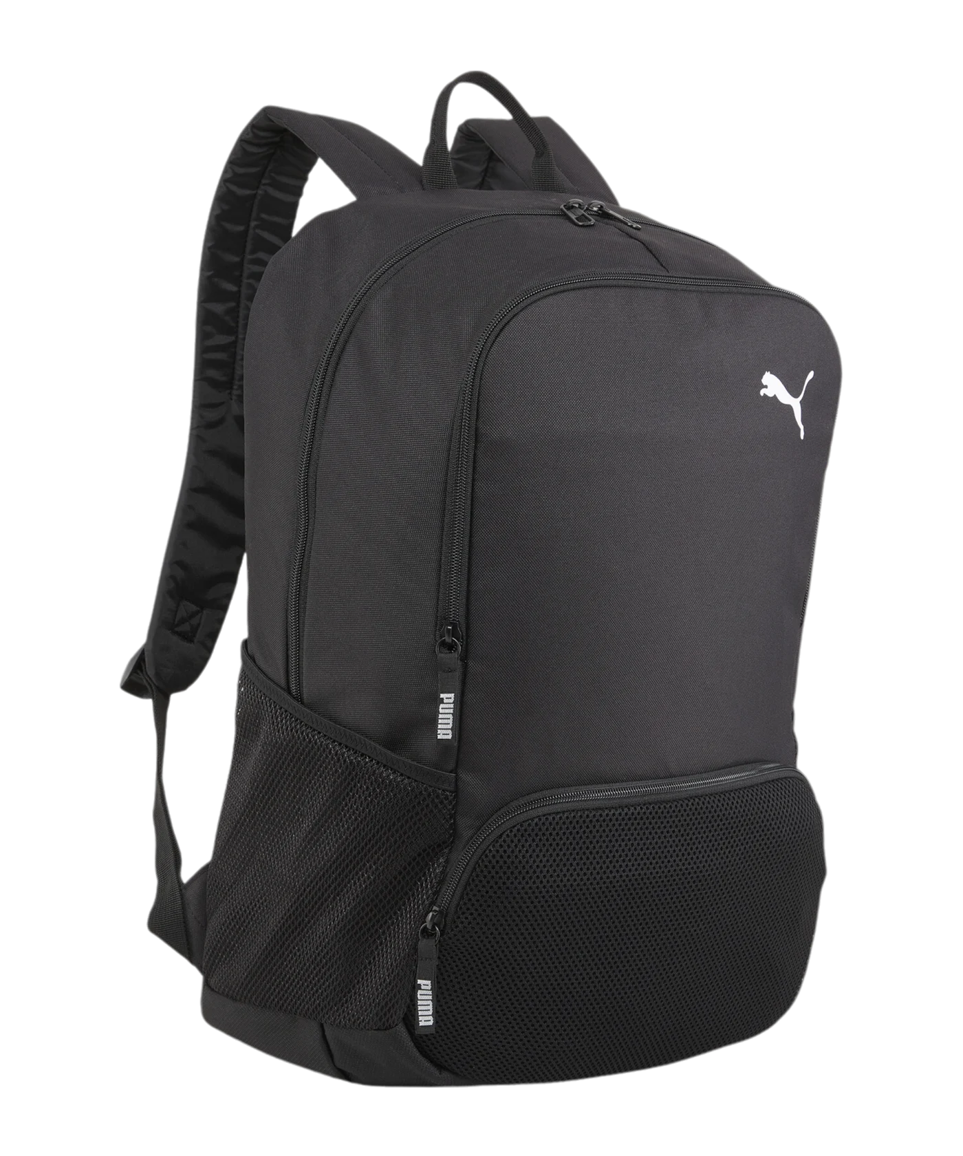 PUMA teamGoal Premium Rucksack Gr. XL Schwarz F01