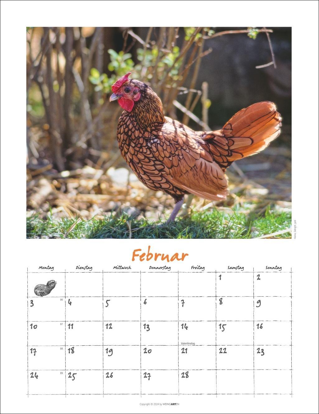 Der Hühnerkalender 2025