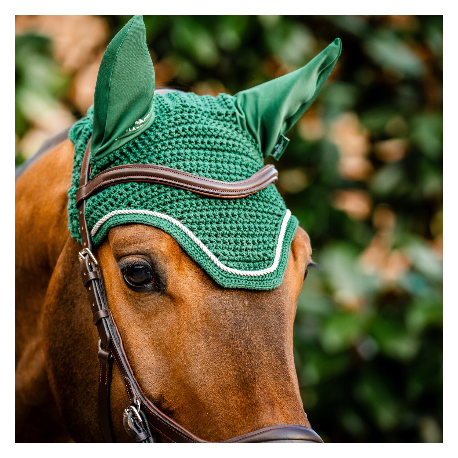 HORSEWARE Signature Fliegenohren  - green - VB/WB
