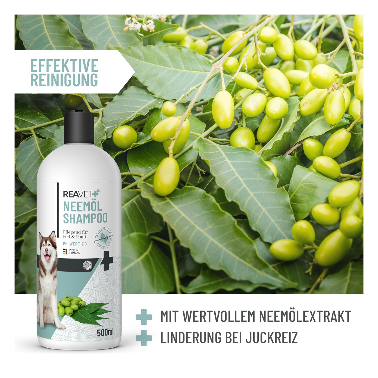 REAVET Hundeshampoo Neemöl 500ml