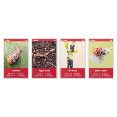 Naturquartett Tiere im Garten