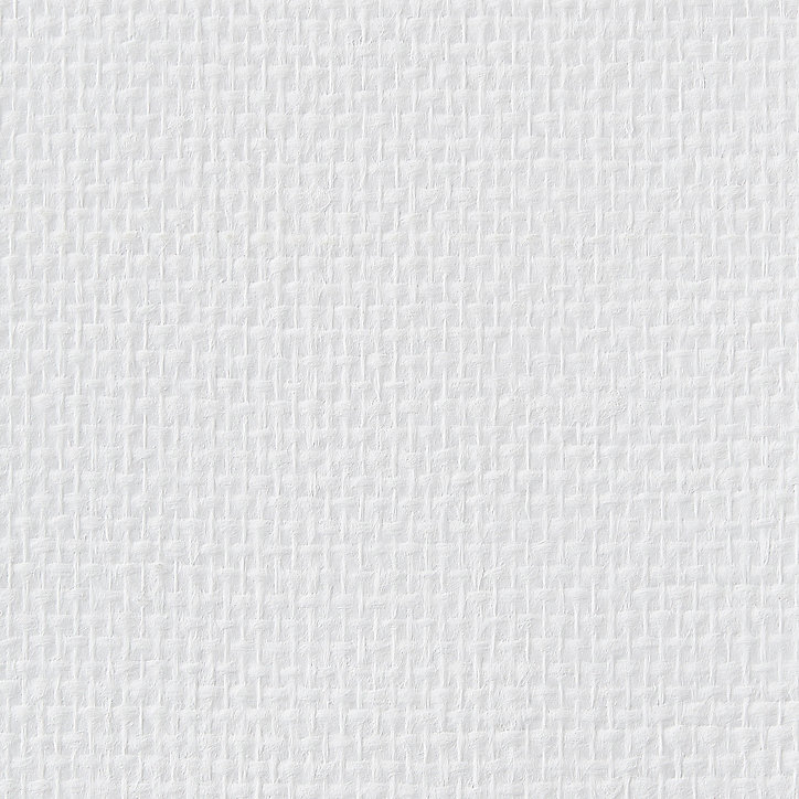 Fibre de verre maille/tissage prépeint DIALL 135g/m² L.25 m (Vendu au rouleau)