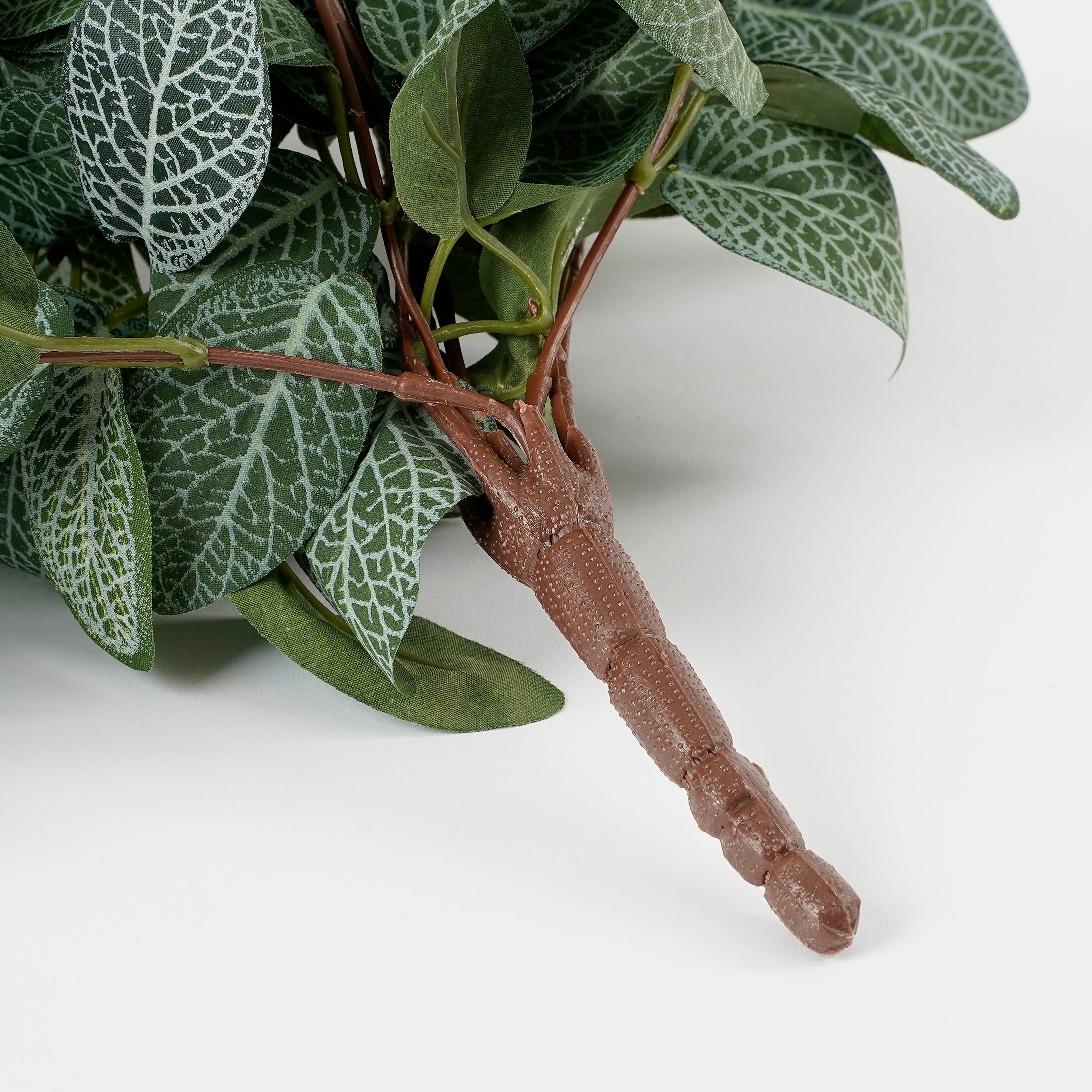 Mica decorations - fittonia artificielle vert h54