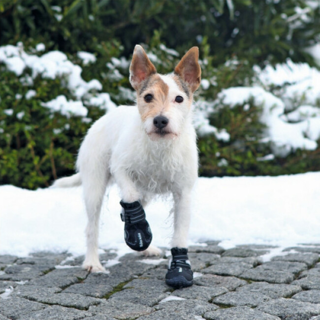 Paire de bottes de protection Walker Active Trixie pour chiens