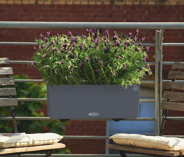 LECHUZA® Kunststoff-Kasten Balconera Color,
