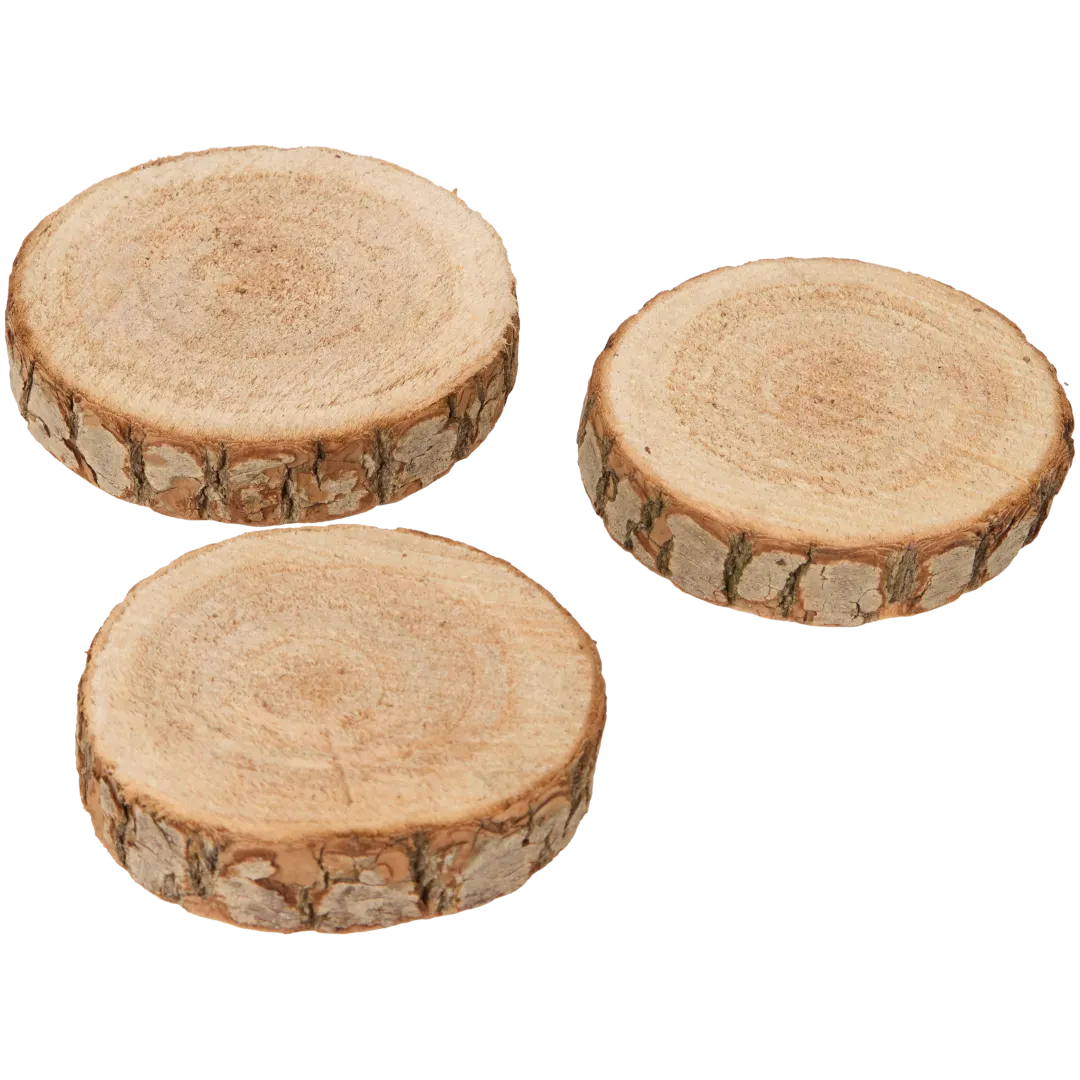 Disques en bois