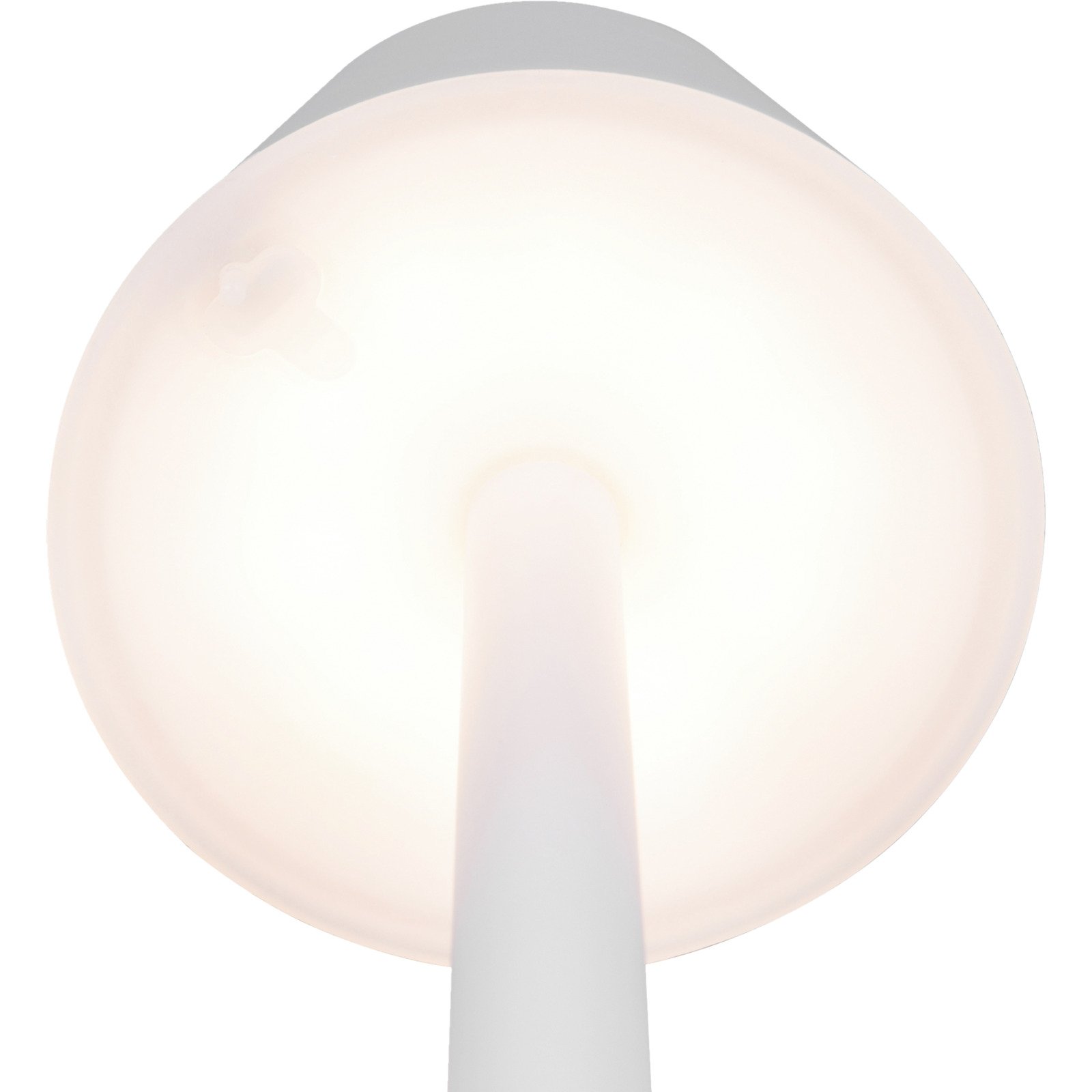 LED-Tischleuchte PIA weiss