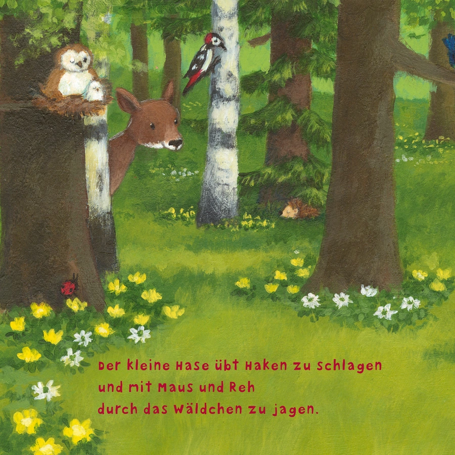 CARLSEN Baby Pixi (unkaputtbar) 97: Der kleine Hase