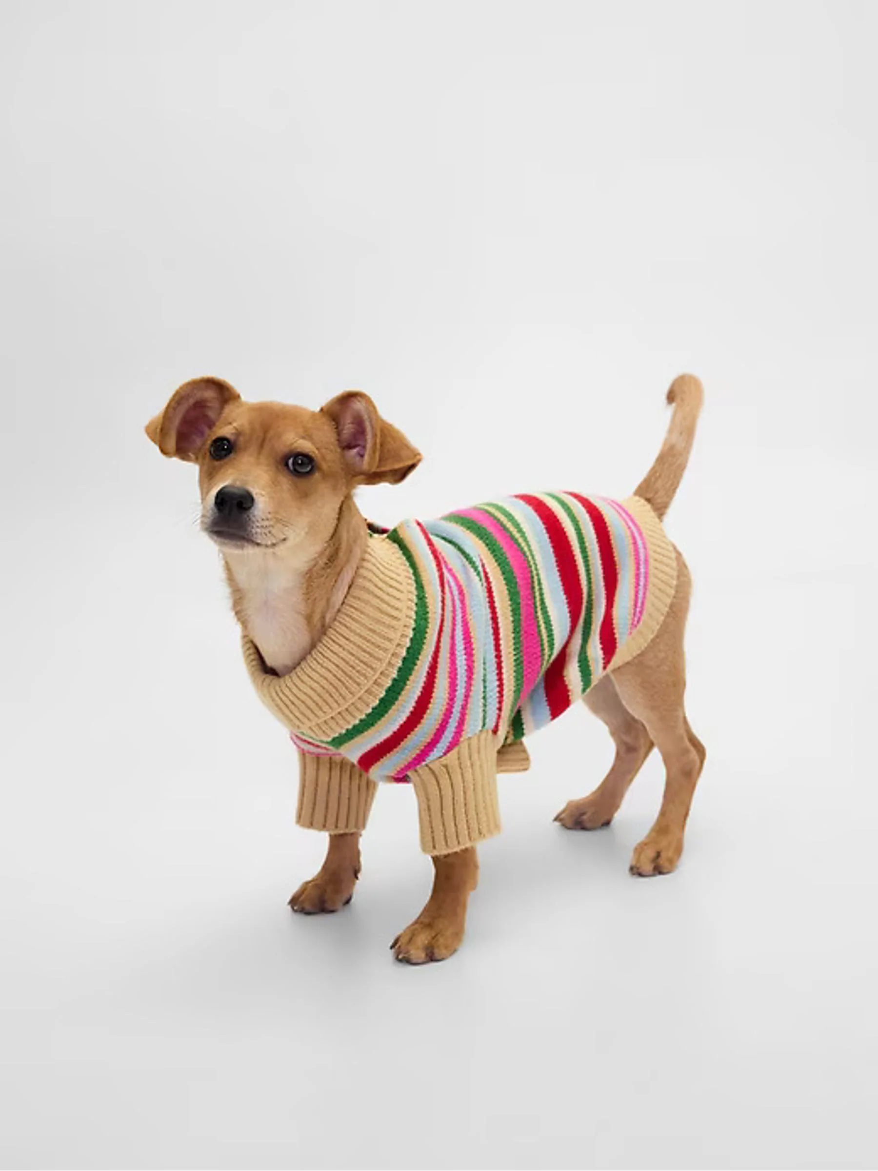 Gap Pet CashSoft Jumper