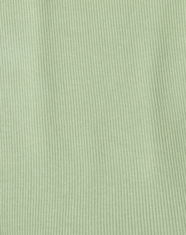 Tank-Body 4022 RIB in pale green