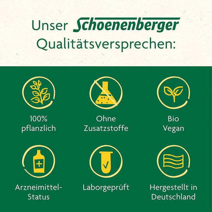 Mistel Saft Schoenenberger, 3X200 ml