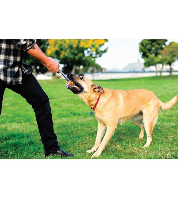 Chuckit!® Hundespielzeug Ultra Tug mit