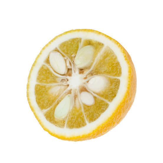 Yuzu AB: pot 3L, greffe