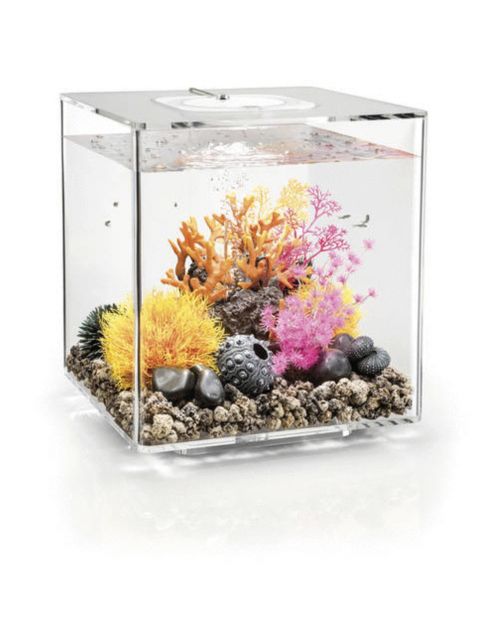 Biorb Aquarium Cube 30 Mcr - Aquaria - 30 l Transparant