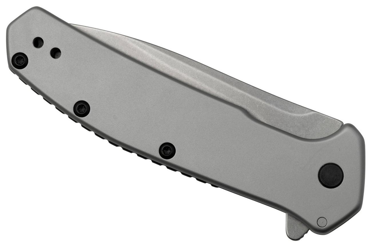 Kershaw Outcome 2044 Assisted Flipper Stainless Steel zakmes