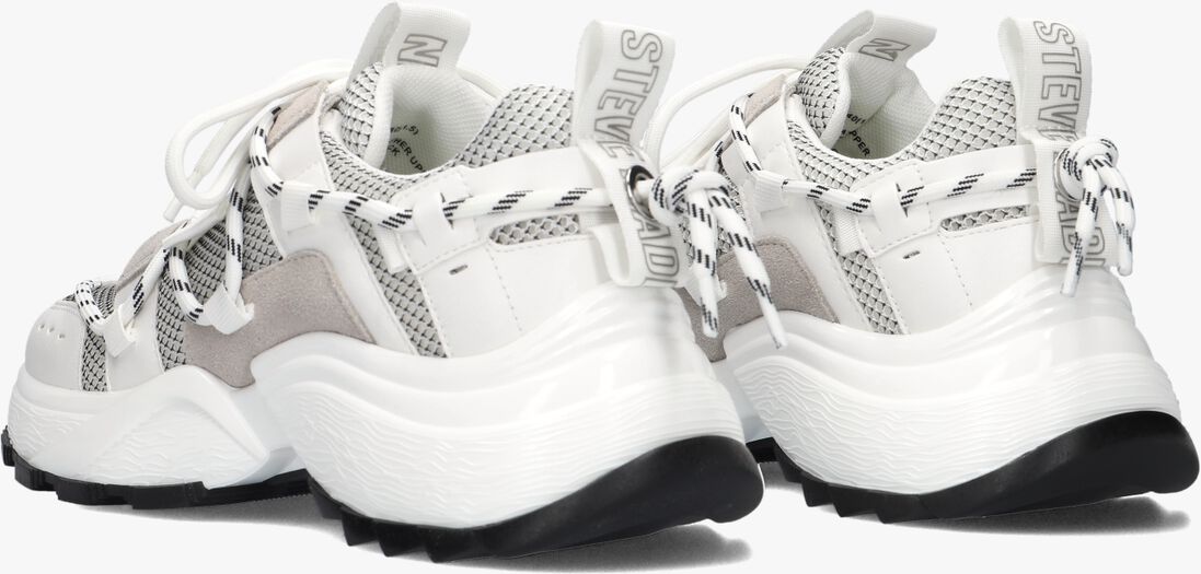 STEVE MADDEN witte steve madden lage sneakers tazmania