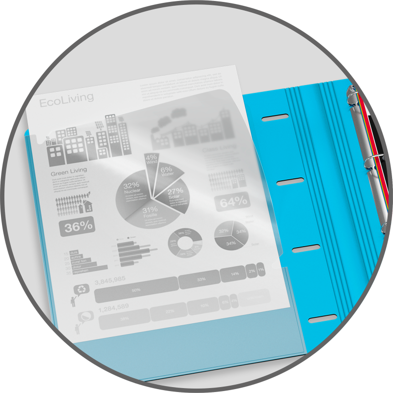 Easy Organiser Oxford Classeur Color System A4 D30 PP +120P Seyes 5Coul
