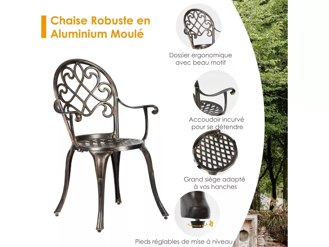 Ensemble Table et 2 Chaises pour Jardin 3 Pièces avec Seau à Glace Amovible Accoudoir en Fonte d'Aluminium, Salon de Jardin 3Pcs Style Antique, Charge 100KG (Bronze Antique)