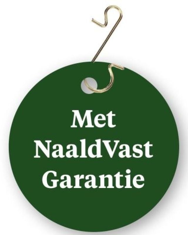 Nordmann gezaagd - Kerstboom - 100 cm
