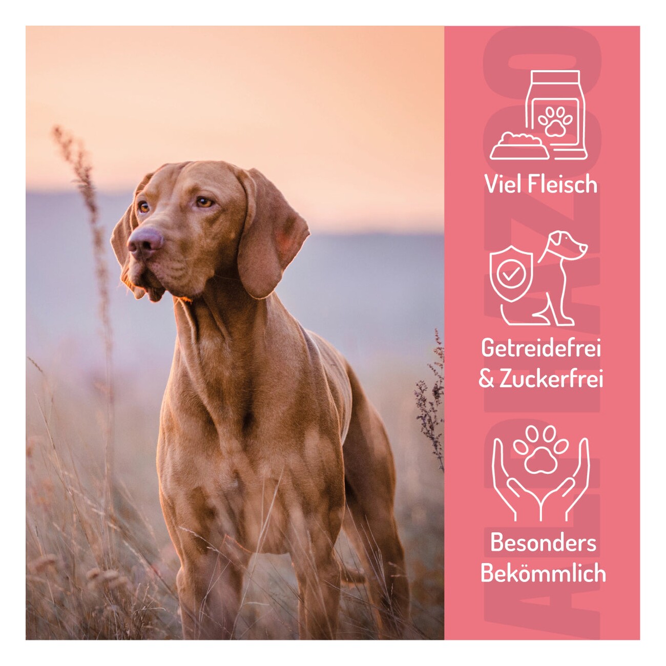 ALPHAZOO Kleines Rinderz-Vous 65g I Leckerli für Hunde