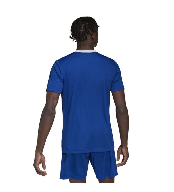 adidas Men Entrada 22 Voetbalshirt