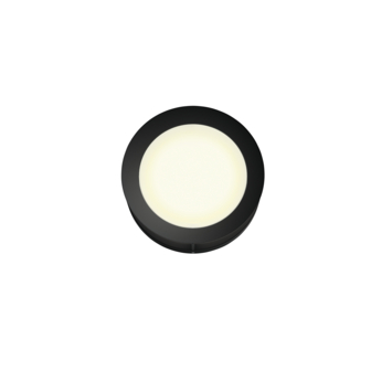Philips buitenlamp Actea zwart