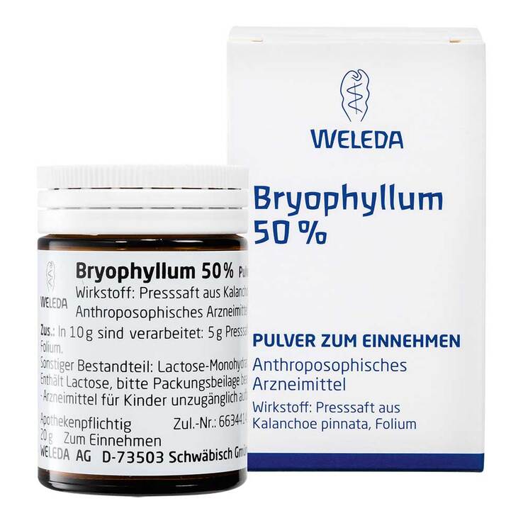Bryophyllum 50% Pulver zum Einnehmen, 50 g