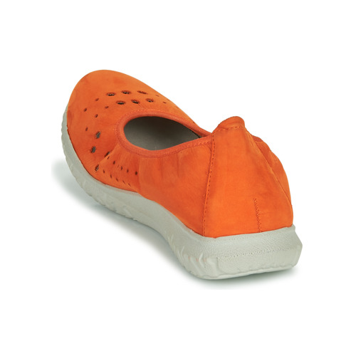 Dorking - SILVER Naranja