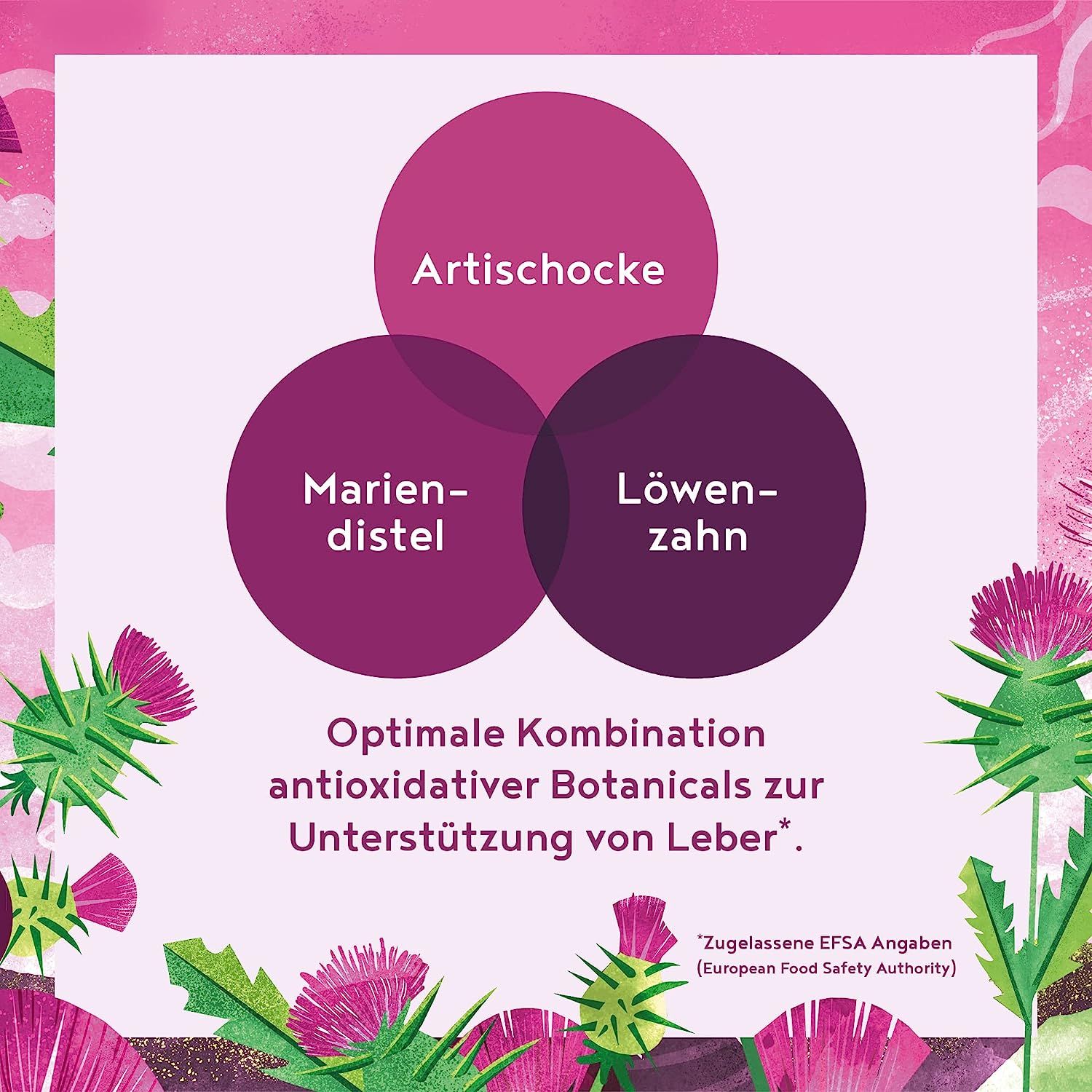 Leberaufbau - Mariendistel Artischocke & Löwenzahn - 120 Kapseln - Deutsche Markenrohstoffe