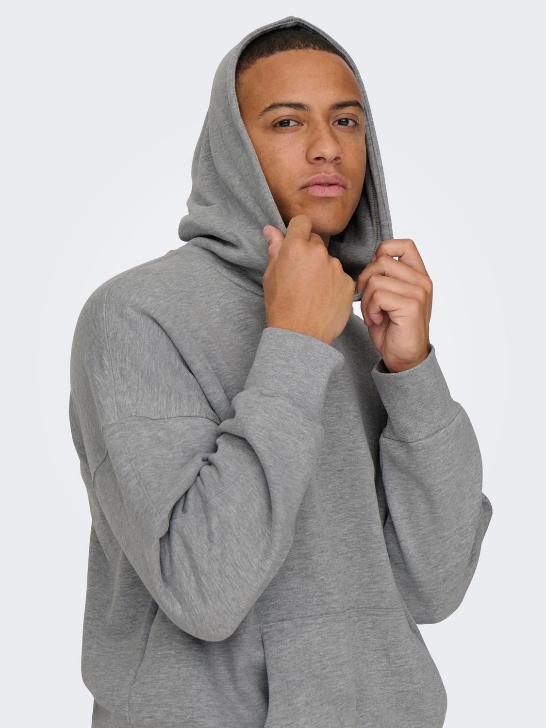 ONSDAN Sweatshirt Light Grey Melange