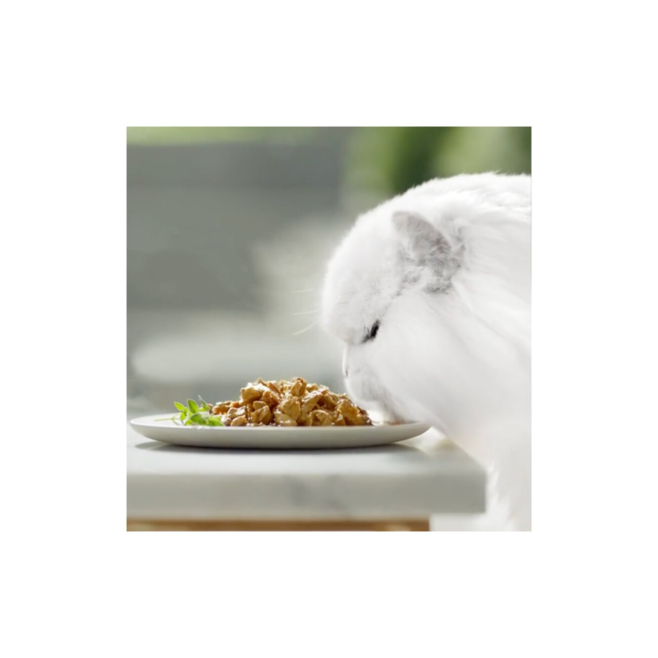 GOURMET Gold Délicatesse en Sauce 12x85g