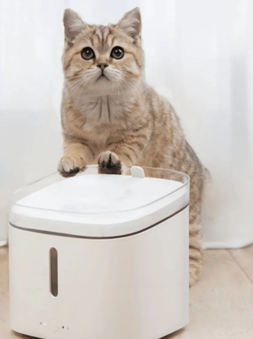 (2L) Smart Pet Fountain Katzen Trinkbrunnen Hunde Wasserspender (iOS/Android) - Weiss