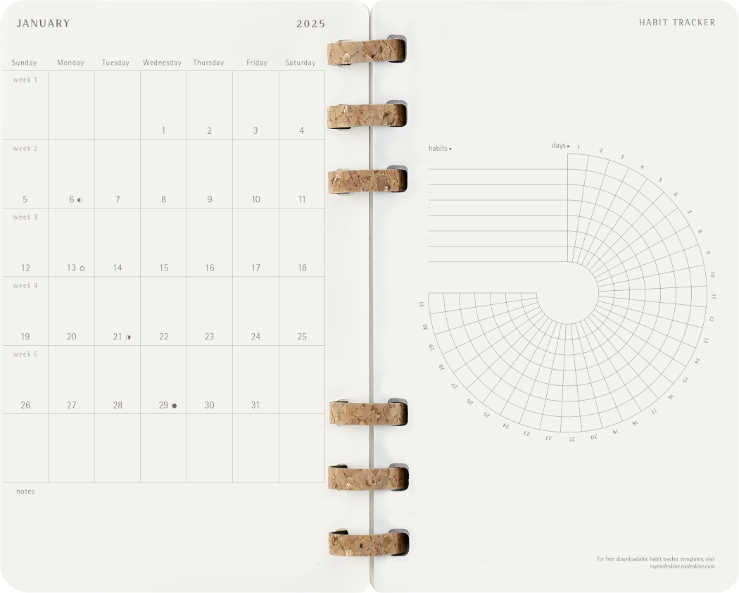 Life Planner 2025 L 12-Month, Spiral