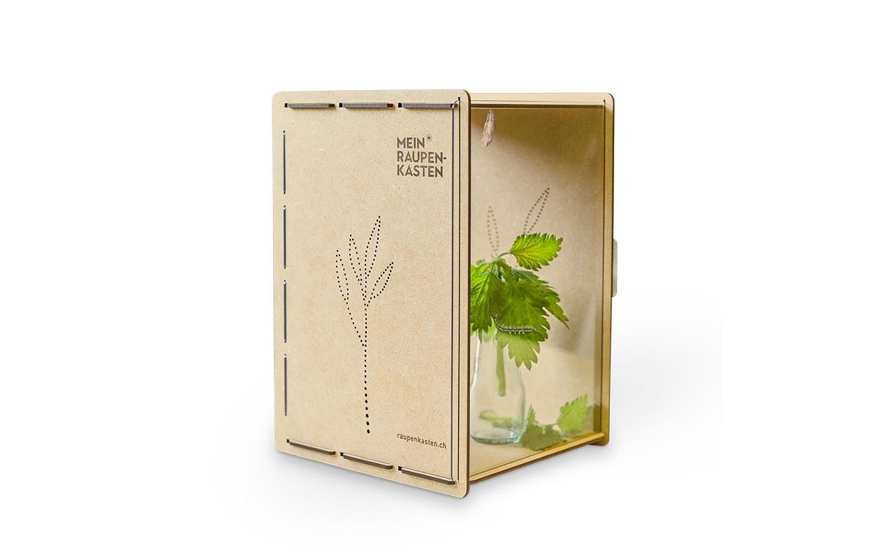Insektenhotel RaupenkastenAufzucht-Box