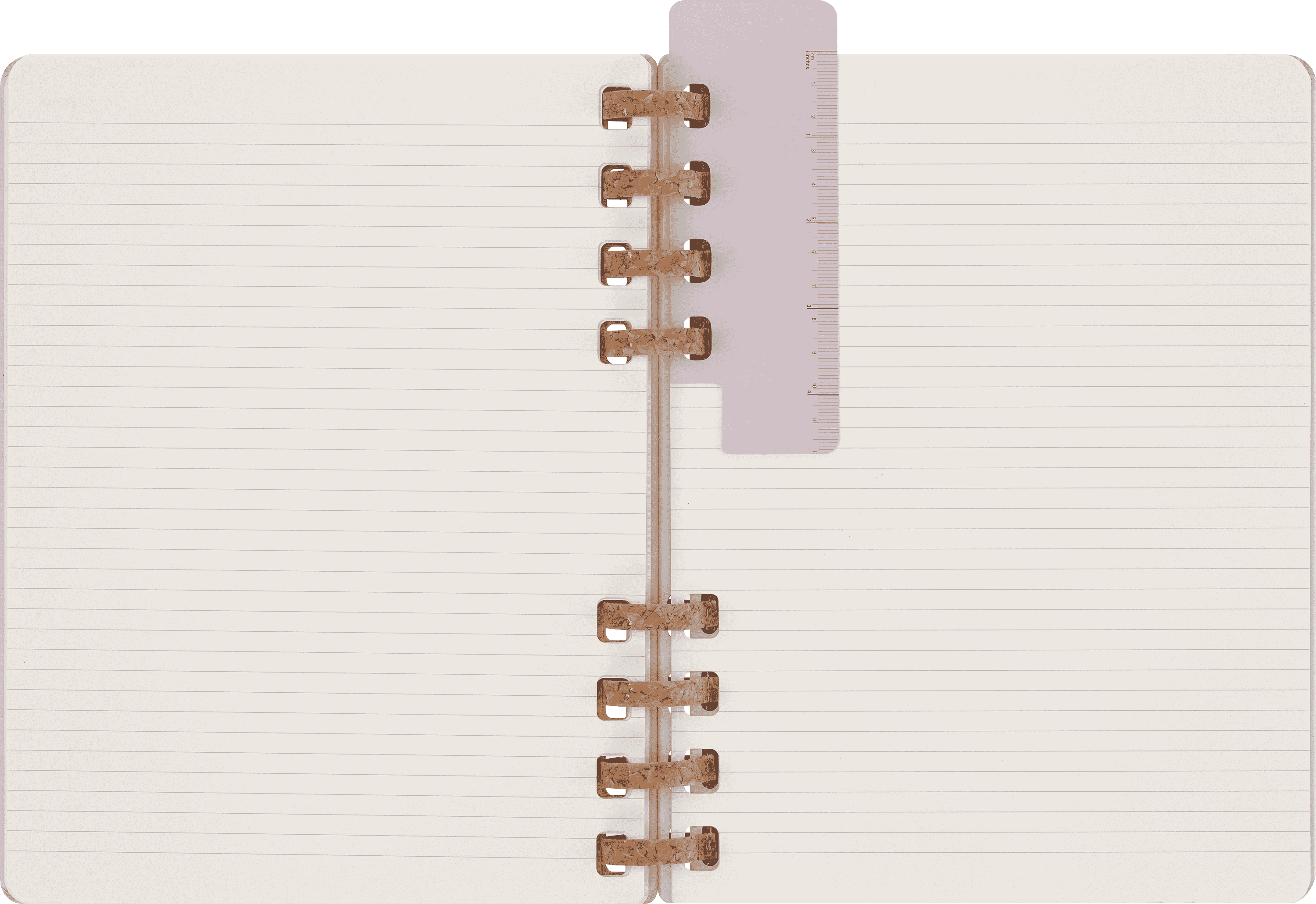 Undated Life Planner XL Weekly and Monthly, Spiral